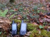 20181027_GPSMAP_64_66_011