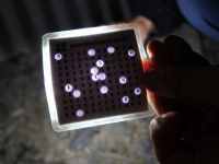 20210314_CacheIdeen_023