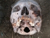 20120409_ParavanPodcast90_003