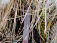 20210205_SPLOG_029