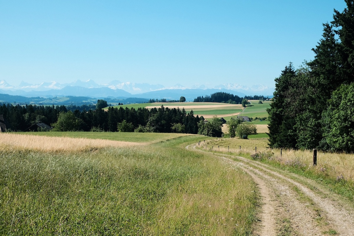 #181 Seltsame Freunde beim Geocachen